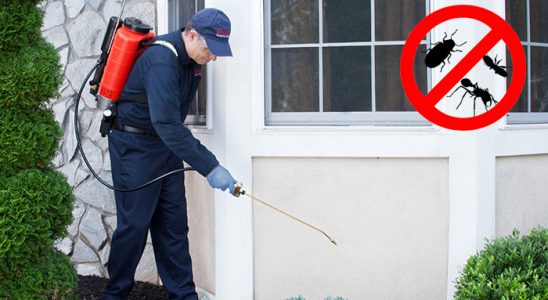 Beykoz Fare İlaçlama böcek ilaçlama ve haşere kontrolü — ilaclama-tr.com